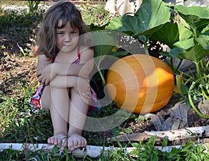 Baby, girl, summer, garden, Sunny day, orange vegetables, yellow, pumpkin, big crop, plant growth, close up, grass, warm, autumn,