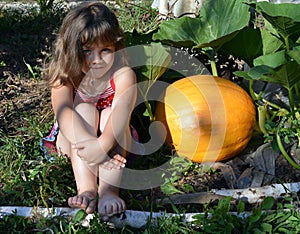 Baby, girl, summer, garden, Sunny day, orange vegetables, yellow, pumpkin, big crop, plant growth, close up, grass, warm, autumn,