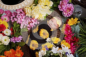 Baby Girl Surrounded by Flowers