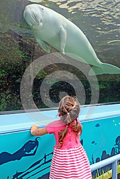 Baby girl in Sydney aquarium admiring a huge dugong, Australia