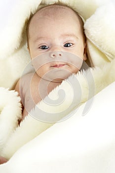 Baby Girl Wrapped In Sheepskin photo