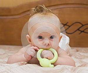 Baby gnaw latex teether