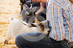 Baby goat Young handler