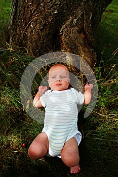 Baby in grass near tree