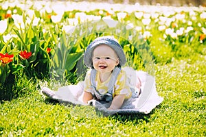 Baby in green grass of tulip field at springtime