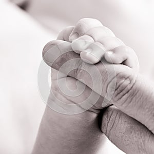 Baby gripping the finger of an adult, in black and white