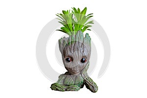 Baby groot pot flower.