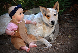 Baby and Guard Dog