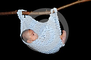 Baby in hammock