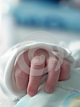 Baby Hand photo