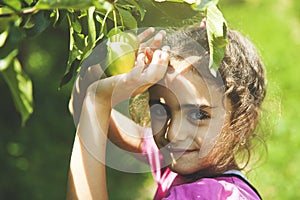 Baby hand apple in tree