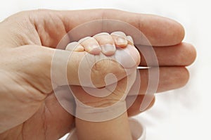 Baby Hand, Family Father and New Born Kid, Newborn Child