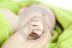 Baby hand gently holding adult's finger