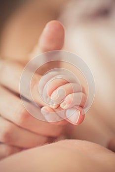 Baby hand gently holding adult's finger