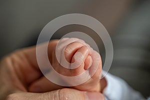 Baby hand holding adult finger, family relationship with daughter