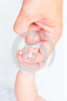 Baby hand holding adult finger photo