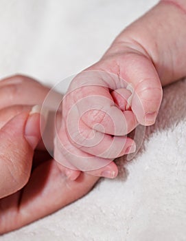 Baby hand holding mothers finger