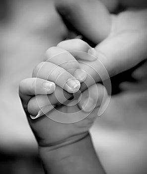 Baby hand holding mother's finger