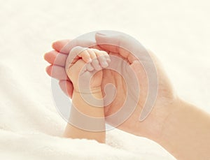 Baby Hand and Mother Hands, Woman Holding Newborn, New Born Kid