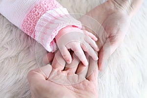 Baby hand into parents hands, close up