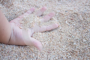 Baby hand plays sand.