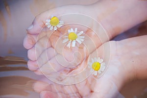Baby hands with Chamomile flower on the water surface