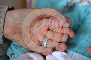 Baby hands with father photo