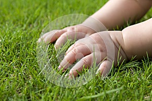 Baby hands on grass