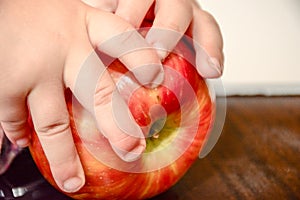 Baby hands holding sweet red apple
