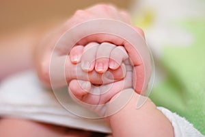 Baby hold mother finger in hand