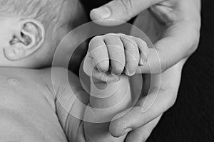 Baby holding finger of parent