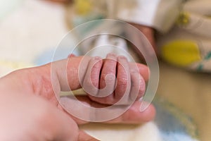 baby holding his mother& x27;s finger in close-up.