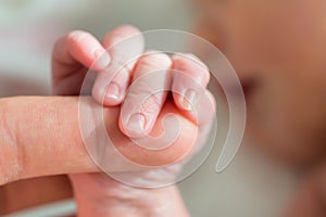 Baby Holding Mother`s Finger