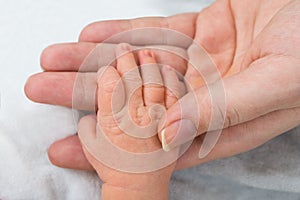 Baby holding parent finger