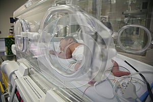 Baby in an incubator sleeping