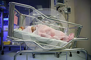 Baby in an incubator sleeping photo