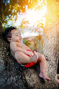 Baby infant boy six month old day dreaming reclining relaxing on tree trunk enjoying warm sunlight chilling out mixed race Caribbe