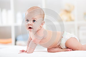 Baby infant crawling in living room