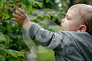 Baby infant in the garden