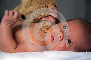 Baby Infant Newborn New-Born Portrait