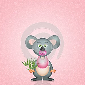 Baby koala