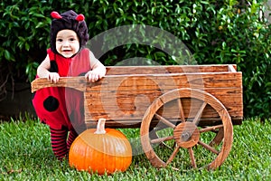 Baby in ladybug Halloween costume outdoors