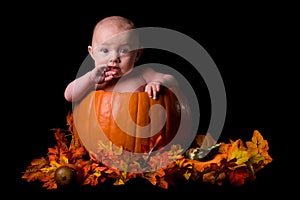 Baby in Large Pumpkin Isolated on Black