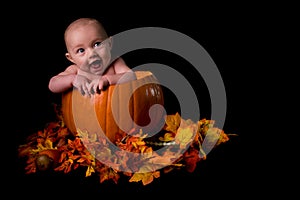 Baby in Large Pumpkin Isolated on Black