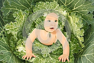 Baby in leaves streaked with ornamental cabbages