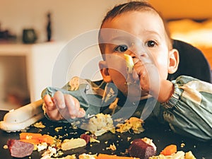 Baby Led Weaning BLW photo