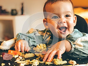 Baby Led Weaning BLW photo