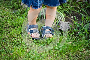 Baby Legs Of Girl Walking On Grass In Summer Close Up