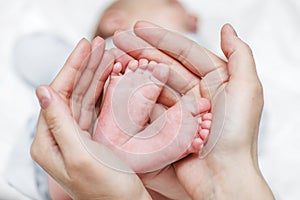 Baby legs. Newborn baby feet in mother`s hands. Baby feet cupped into mothers hands