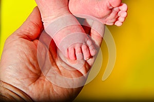 Baby legs on a yellow background, dad holds the small legs of a newborn baby in his hand